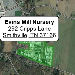 Evins Mill Nursery