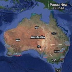 Rat plague in australia
